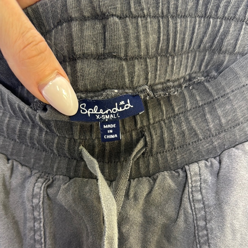 Splendid Gray Sweatpants Modern Fit - Picture 3 of 8